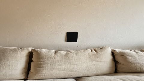East wall, living area