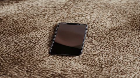 Carpet, center of room